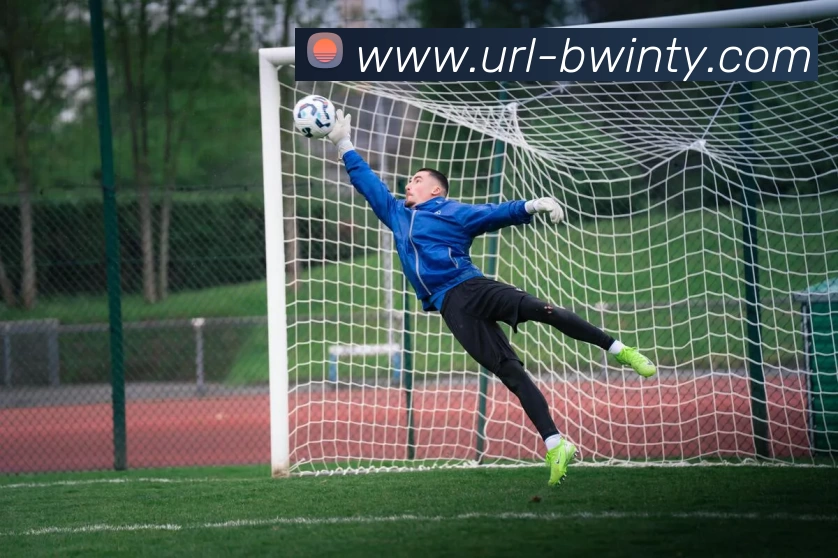 App Interface Preview