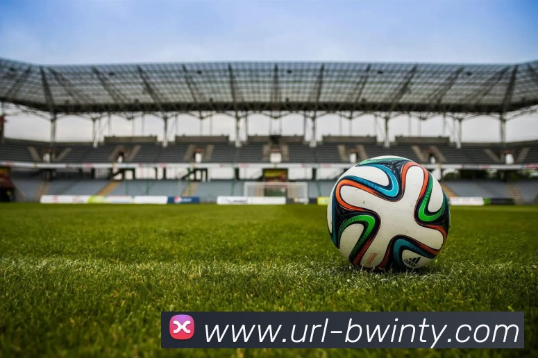 必赢亚洲体育APP 封面图